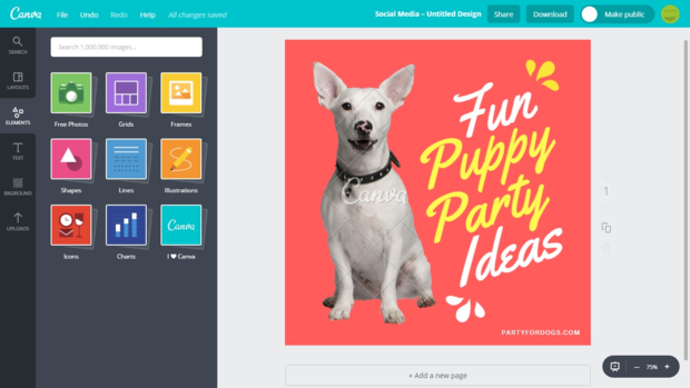 canva layouts